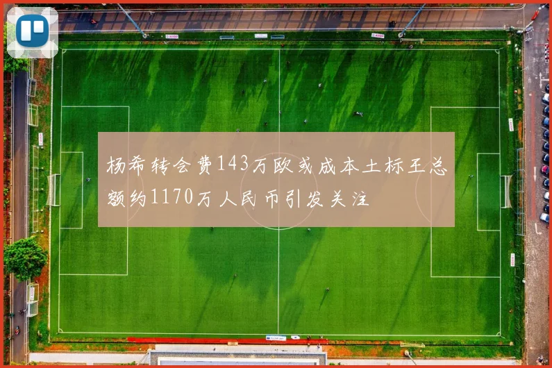杨希转会费143万欧或成本土标王总额约1170万人民币引发关注