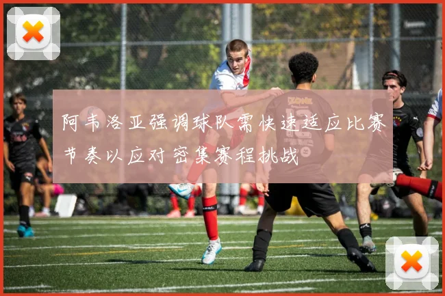 阿韦洛亚强调球队需快速适应比赛节奏以应对密集赛程挑战