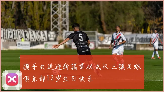 携手共进迎新篇章祝武汉三镇足球俱乐部12岁生日快乐