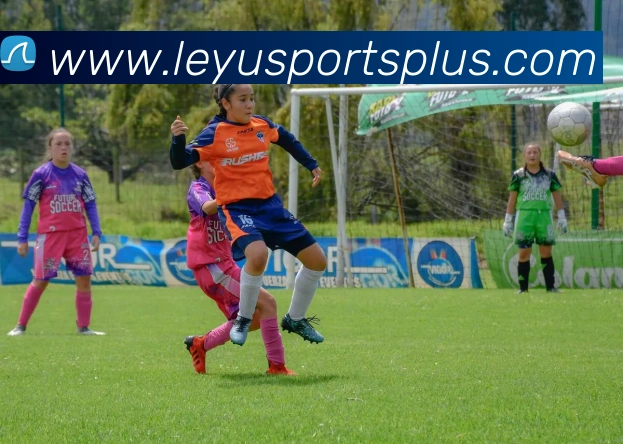 乐鱼体育平台生态图