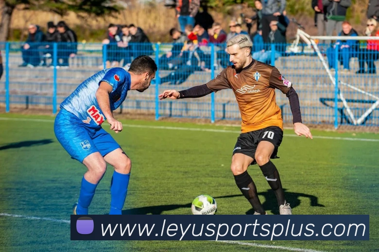 乐鱼体育全站App